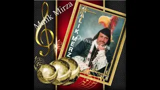 Malik Mirza Amina 2 مالك مرزا