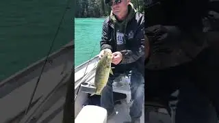 Whitetail Lure Company Bucktail Jigs bass fishing Emerald Lake, Thorne ON   18062022