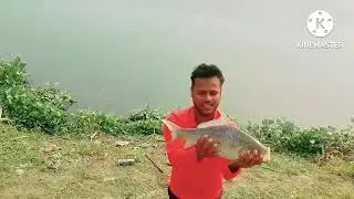 katlla fish feeder fishing video #villagefishingvideo
