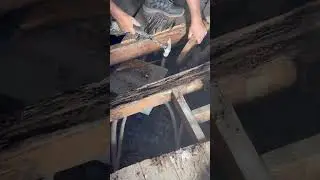 Bathroom floor demolition lots of water damage and rotten wood all need to come out #construction