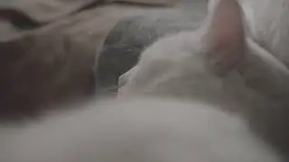 BABY SLEEP WHITE NOISE &bull; LIVE 24/7 &bull; Soothing Piano + Rain + Heartbeat Sounds