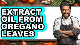 How To Extract Oil From Oregano Leaves - Step By Step