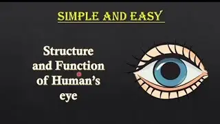Structure and function of eye 👁️ ।  Best explanation । In just 6 min 🔥। Very simple and Easy । R.S