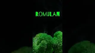 Romulan | Grassroots | Curaleaf