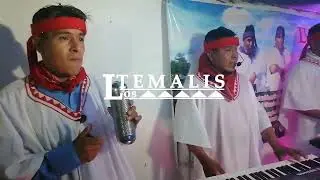 Kina simi awibo´a - Los Temalis