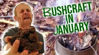Bushcraft in January | Ohuhu stove, pine cone fuel, campfire omelette