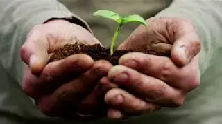 Eco-certifications for PSPs Explained