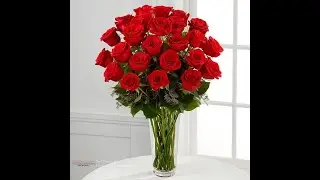 Surf Florist, Inc. 445 W 40th Street Miami Beach FL 33140 (305) 865-0433 Miami Beach Florist