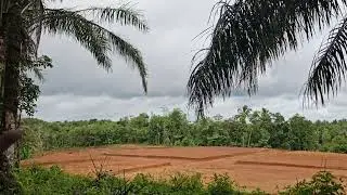 Dijual tanah strategis nempel peruntukan perumahan dan dekat jalan raya nasional 