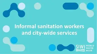 Informal sanitation workers and city-wide services