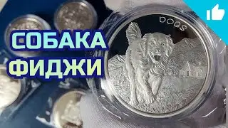 Лабрадор Фиджи! Серебряная монета в отличном исполнении!