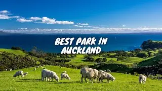 SHAKESPEARE REGIONAL PARK AUCKLAND | BEST AUCKLAND PARK