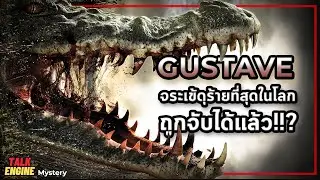 ถูกจับแล้วหรือไม่?...จระเข้ยักษ์ดุร้ายที่สุดในโลก l Gustave ไอเข้เขมือบ 300 วิญญาณ