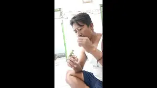 suapin bayi iguana pakai air liur