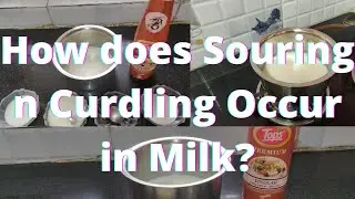 What is Souring n Curdling of Milk?