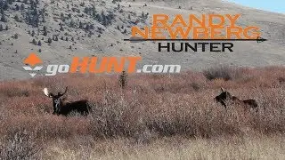 How To Use goHunt INSIDER To Draw Idaho Big Game Tags