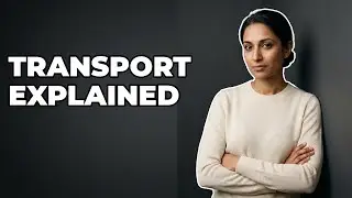 What Are The Main Electrolyte Transport Processes In The Gut?