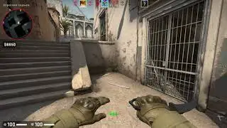 sqdy играет в CS GO, забавные моменты с обезьянками из Discord.