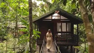 Experience the tropical Daintree Rainforest from your doorstep.
