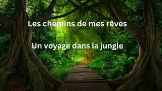 Méditation guidée pour les enfants - Un voyage dans la jungle