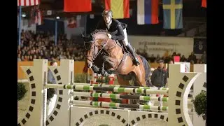 Ogano *2012 by Ogano Sitte - Diarado (Sosath Stallion Show 2019)
