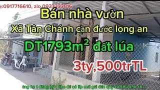 Ms104-B&aacute;n nh&agrave; vườn x&atilde; t&acirc;n ch&aacute;nh cần đước long an,DT1793m&sup2; hiện trạng đất l&uacute;a,3ty,500tr TL