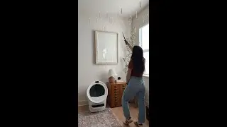 Litter-Robot 5