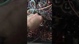 IMG 0002