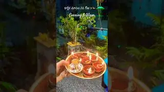 Karthika Masam day 2 pooja vidanam #vishalasrilifestyle #decoration #karthikamasam #rangoli #telugu