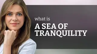 A Voyage Through Words: 