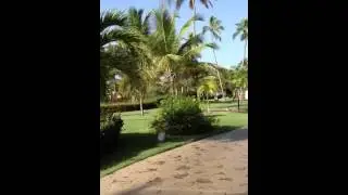 Walk to eat