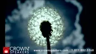 Девитт Джонс | Clear Vision