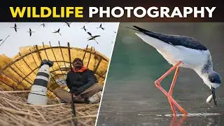 Can Solo Travelers REALLY Have a Stress-Free Boating and Birdwatching Experience?