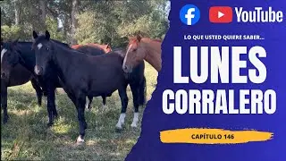 Lunes Corralero Cap. 146 - Criadero Santa Isabel - resultados 18 de enero 2026