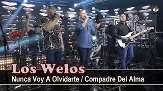 Los Welos - Nunca Voy A Olvidarte / Compadre De Cantina