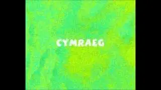 (learning Welsh) WORKPLACE - would you like to leave a message?