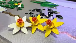 LEGO Botanical -  40747 Daffodils #malaysia #lego #botanical #daffodil #adult