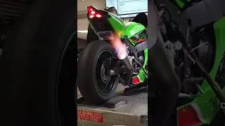 Kawasaki ZX1Or goes CRAZY on the Dyno 😈#viral #shorts #zx10r
