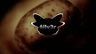Aloo khoage ? || Phonk music || $ilv3r 