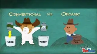 Effects of Pesticides on Agriculture