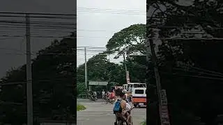 PUBLIC UTILITY VEHICLE  |  BRGY. SERVICE VEHICLE