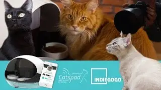 Catspad - Making of photo shoot