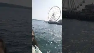 Ferris wheel, Seattle. #ferri #wheel #seattle #washington