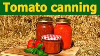 Tomato Canning 101: Easy Steps for Delicious, Homemade Preservation