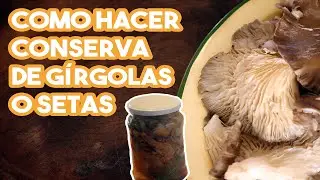 COMO HACER Conserva de GIRGOLAS o SETAS - Receta fácil y rápida
