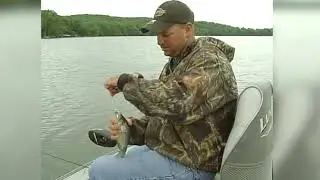 Dick Beardsley's Fishing Scene - Crappies