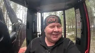 Makkaran verran taukoa  ja kuusikon ihmettelyä