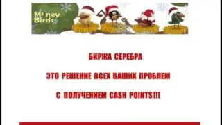 Money birds Птички Правильный старт. Заработок в интернете