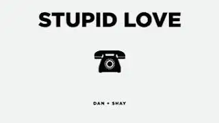 Stupid love by Dan and shay