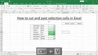 How to cut and past selection cells in Excel
